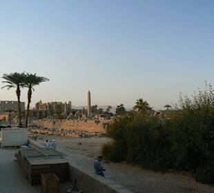 Ein wunderbarer Tag in Luxor