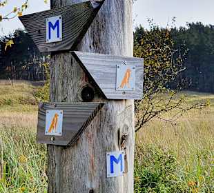 Wandern Groß Plasten