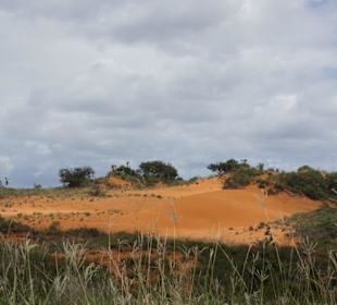 Natur pur 