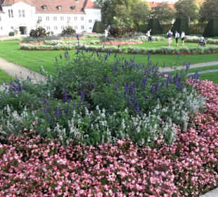 Brunnen im Hofgarten