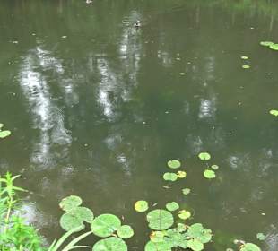 Forellenbächle Glacis Park