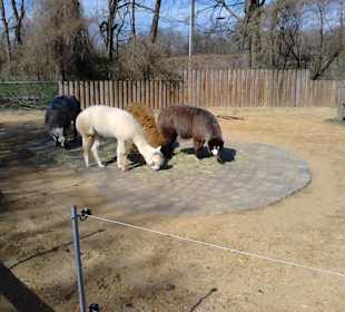 Tierpark Hellabrunn in München