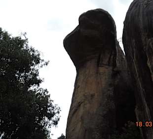 Sigiriya Felsen