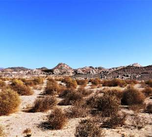 Ausflüge Marsa Alam mit Morgenland Reisen