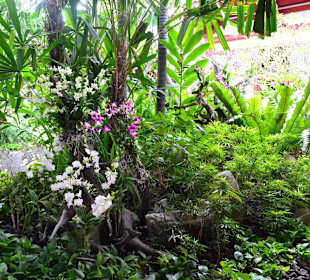 Buddha Tooth Relic Temple