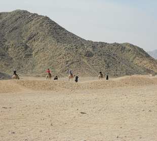 Wers mag: Kamelritt bei einer Pause im Nomadendorf