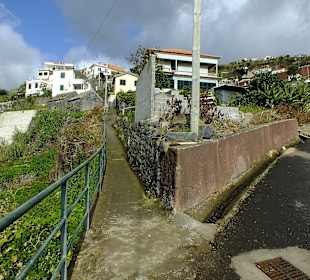 Der Weg zur Levada Nova