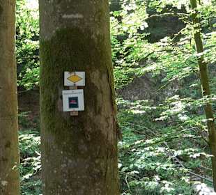 Griesbacher Wasserfälle Bad Griesbach