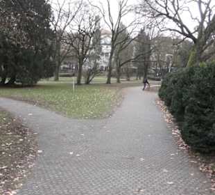 Altstadt 