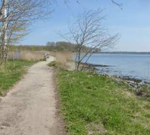 Eindrücke von unseren Priwallwanderungen