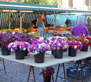 Rundgang über den Wochenmarkt Südermarkt 
