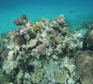 Unterwasser offenes Meer