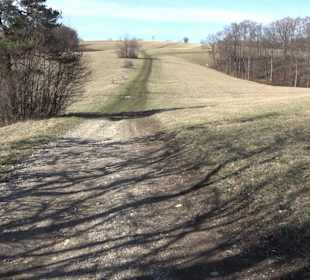 Naturschutzgebiet Meisenbühl