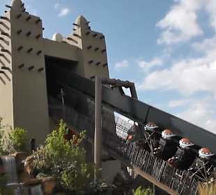 Deep in Africa - Black Mamba