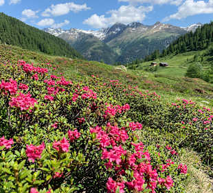 Wandern St. Jakob im Defereggental