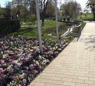 Panorama Therme Beuren