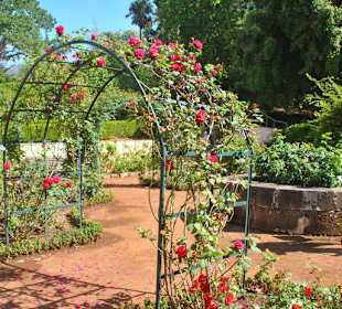 Rosengarten