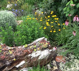 Blühendes Neresheim 2021