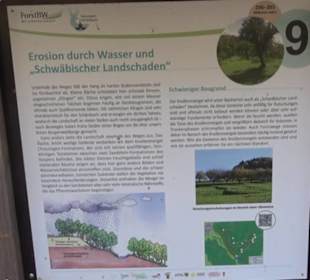 Geologischer Lehrpfad Kirnbachtal