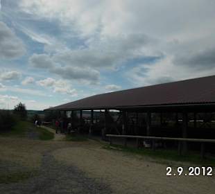 Pony und Pferdestall