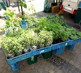 Auslagen der Händler auf dem Delmemarkt