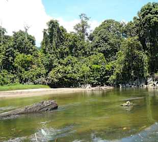 Bootsfahrt auf dem Melinau