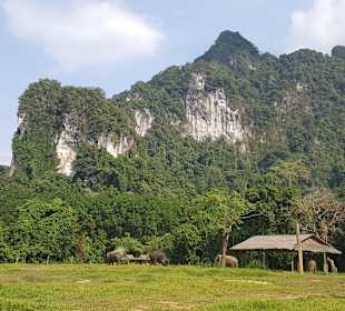 Khao Sok Nationalpark