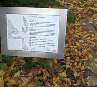 Karl-Foerster-Garten
