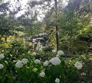 Japanischer Garten in Kaiserslautern