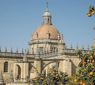 Catedral San Salvador