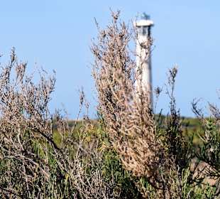 Leuchtturm in Jandia
