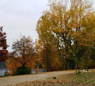 Farbenbracht im Oktober