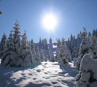 Nationalpark im Winter