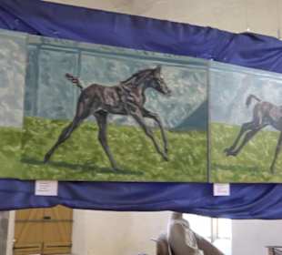 Gestütshof Offenhausen