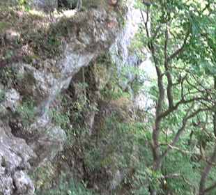 Tour entlang der Traifelbergfelsen
