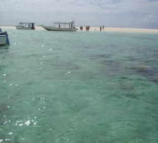 Ausflug Glasbodenboot Diani Beach
