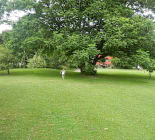 Parkanlage Planten un Blomen