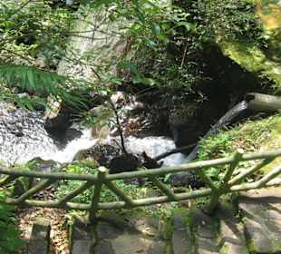 Der Weg über dem Bach