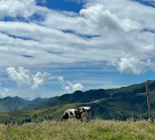 Wandern Damüls
