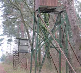 Partie an der Queich