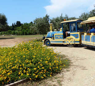 Der Zug dreht im Weingut