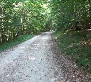 Premiumwanderweg "hochgesprudelt"