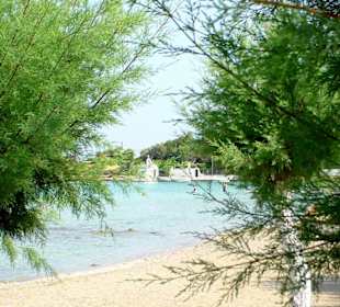 Schöner sauberer Strand