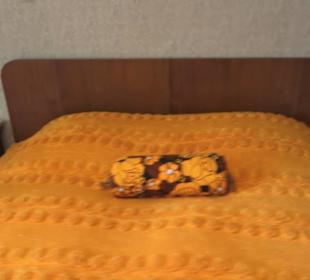 Schlössle von Effringen