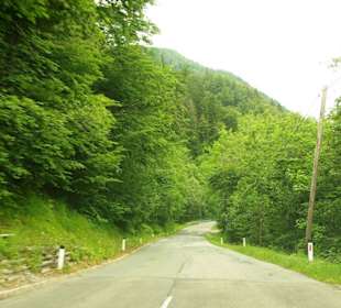 Juli Abfahrt bei Königswetter