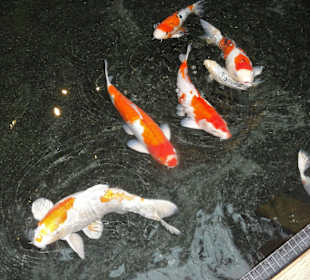 Asiatische Ausstellung im Übersee-Museum