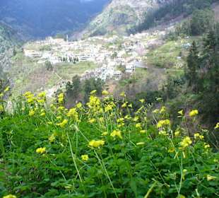 Von Eira do Serrado nach Curral das Freiras