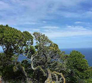 Kap der Guten Hoffnung