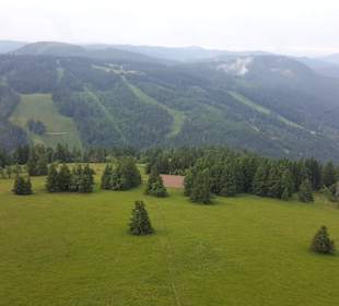 Wandern Feldberg