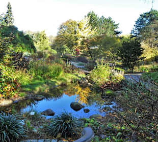 Rundgang durch den Botanischen Garten Hamburg